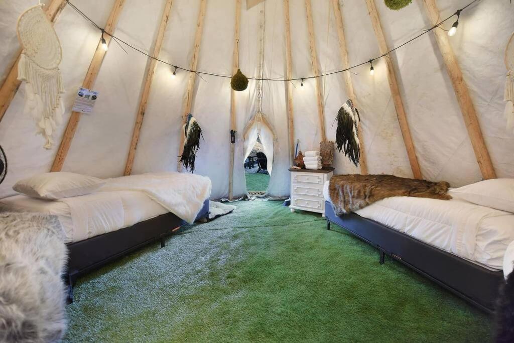 Enchanted Forest Cabin And Teepee! Lights & Laser Show! Private Hot Tub! Unique Stay! Sevierville Εξωτερικό φωτογραφία